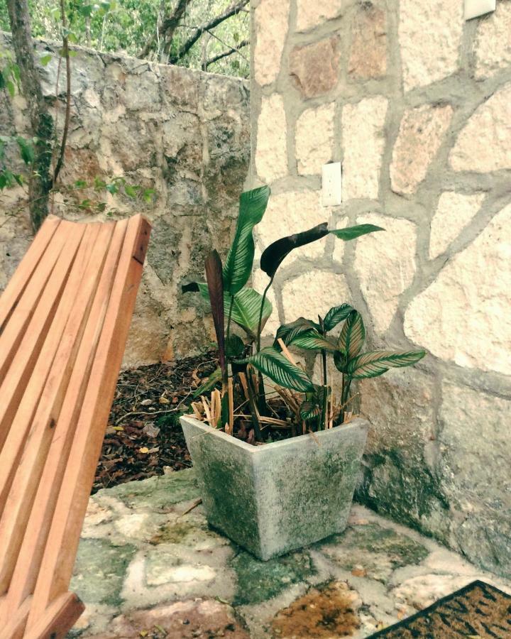 Escarabajo Rojo Bed & Breakfast Tulum Exterior photo